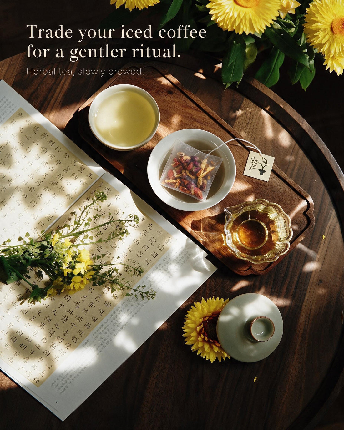 What Is Chinese Herbal Tea? A Beginner’s Guide - VERI CHUN